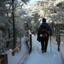 한라산 산행(2일차 진달래대피소~백록담~관음사입구) 이미지