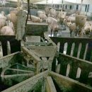 우수2농장 이미지