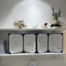 바른척척의원 이미지