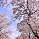 창만3리 이미지