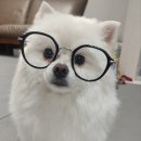 짐포리식당 이미지