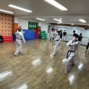 경희대 석사 비룡 태권도장 이미지