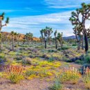 ECO CAR SERVICE 이미지