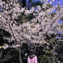 신창성이시돌어린이집 이미지