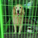 안골로108번길 이미지