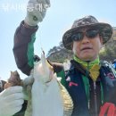 대호펜션 | 무의도 펜션후기, 낚시배등대호 가격적당한 곳