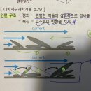 이니셜 고체 14강 p.4 인편구조 이미지