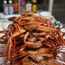 안녕후포리 | 제철 홍게 후포리 산지직송 택배 "후포청년대게" 수율 가성비 후기