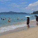 물고기 미포 이미지