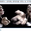 제이미 피티 스튜디오 네이버블로그