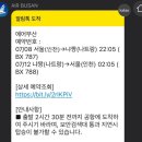 유비네일하우스 | 난기류도 만났는데 스릴로 따지면 롤러코스터보다 재미있습니다? 나짱(1)