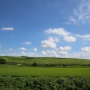 동암목장 이미지