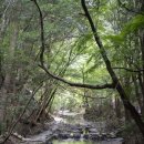 채운 | 대마도 패키지여행 1박2일 꽉 채운 후기 &amp; 지금 예약해야 하는 이유