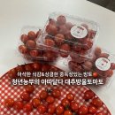 청년과일 | 과일 🍅 추천] 아삭한 식감&amp;상큼한 방울토마토, 아따달다 대추방울토마토 후기❗️(청년농부 과일 맛집 ✅)