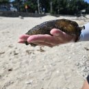 송희민박 이미지