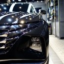 닥터 카테일링 이미지