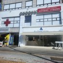 관정빌딩 | 강아지 십자인대 파열 TPLO 수술 후기 | 증상·비용·입원·회복 과정 솔직 기록