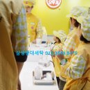 삼성현대세탁 이미지