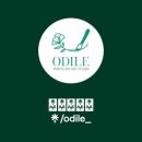 산호대로43길-11 이미지