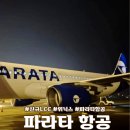 (주)금호타이어제주판매 | 김포-제주 파라타항공 탑승 후기 및 공항 카운터 위치
