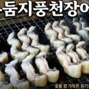 우둠지 풍천장어