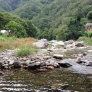 김삿갓데이지펜션 이미지