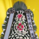 초당요양병원(초당노인병원) 이미지