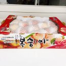 두산농원