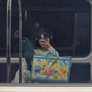 서원 유치원 | 공연 | 2025 서원밸리 그린 콘서트 후기