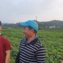 진규농장 이미지