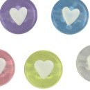 펫 포포즈 이미지