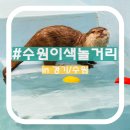 [경기/수원] 수원나들이 스타필드, 게임장, 수달앤쥬 이색체험 놀거리 데이트하기 좋은 곳!