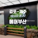 325020 | [제주] 제주도 여행의 시작! 김포공항에서 제주공항까지 에어부산 탑승기(feat. 정맥등록)