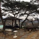 so tree farm | 대구 팔공산 트리팜 Tree Farm 메뉴 영업시간 후기