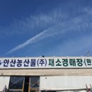 선우농산