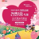 천일홍축제 이미지
