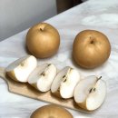 마켓더팜 네이버블로그