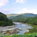 쉬리농장 이미지