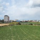 하모리-49 이미지