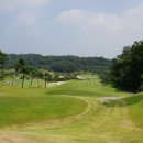 블루골프 이미지