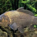 박철보비뇨기과의원 이미지