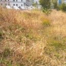 수원-1259 이미지