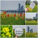 2023 산서희망무지개축제 | 서래섬 유채꽃 축제 2023 한강 유채찬란 다녀온 후기(23.5.12) 서울야경 명소 주말가볼만한 곳(개화, 주차)
