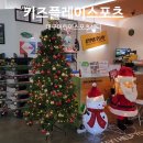 한국체육대학교 유아체육 줄넘기 | 키즈플레이스포츠 후기｜대구 어린이체육센터 유아·초등 체육수업 추천