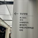 마제스티판교 이미지