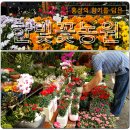 한빛 꽃농원 이미지