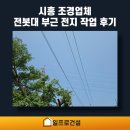시흥 조경업체 전봇대 부근 전지 작업 후기