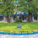 연희한방병원 이미지