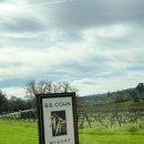 서부로R | [미국 서부 샌프란시스코 여행]7일차_2/2인50만원...라인 후기②B.R.콘 와이너리 B.R.Cohn Winery시음