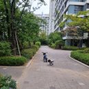 성실유치원 | 영어 유치원 중간 입학 후기 (3) # 처음으로